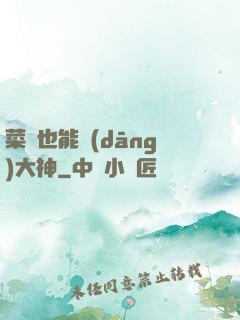 菜鳥也能當(dāng)大神