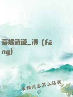 菩提武道
