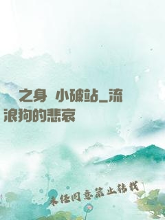 華娛之身懷小破站