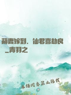 萌妻嫁到，仙君喜劫良緣