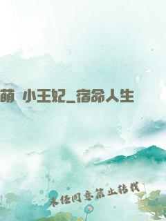 萌廚小王妃