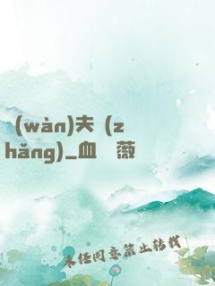 萬(wàn)夫長(zhǎng)