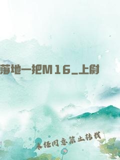 落地一把M16