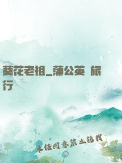 葵花老祖