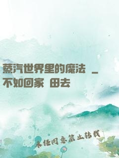 蒸汽世界里的魔法師