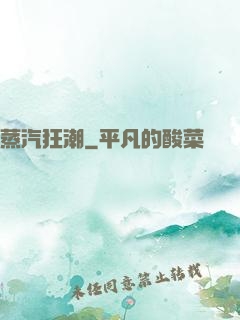 蒸汽狂潮