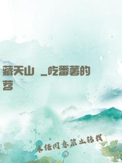 藏天山莊