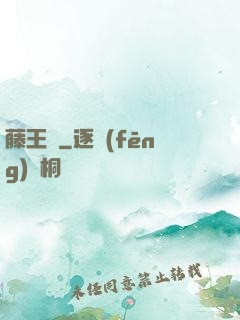 藤王國