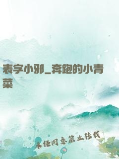 表字小邪