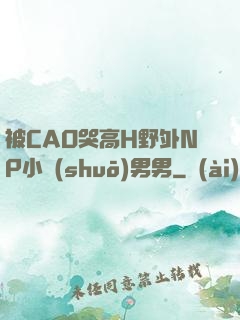 被CAO哭高H野外NP小說(shuō)男男