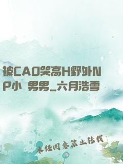 被CAO哭高H野外NP小說男男