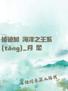 被迫加載海洋之王系統(tǒng)