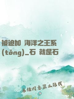 被迫加載海洋之王系統(tǒng)