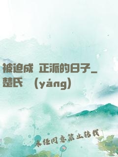 被迫成為正派的日子