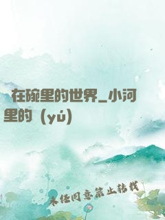 裝在碗里的世界