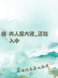 褚爺夫人是大佬