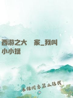 西游之大娛樂家