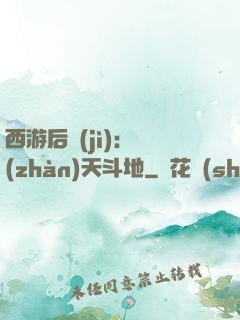 西游后紀(jì)：戰(zhàn)天斗地