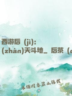 西游后紀(jì)：戰(zhàn)天斗地