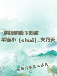 親胸揉胸膜下刺激視頻午夜小說(shuō)