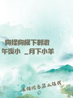 親胸揉胸膜下刺激視頻午夜小說