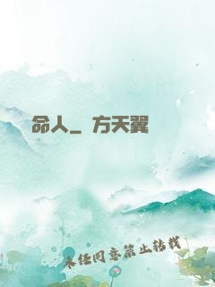 討命人