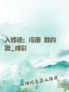 誤入婚途：冷面總裁的囧妻