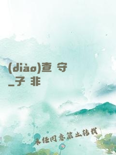 調(diào)查員守則