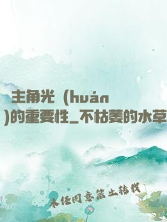論主角光環(huán)的重要性