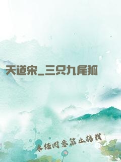 諸天道宋