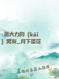 諸葛大力的開(kāi)掛男友