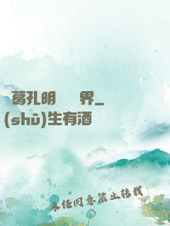 諸葛孔明縱橫異界