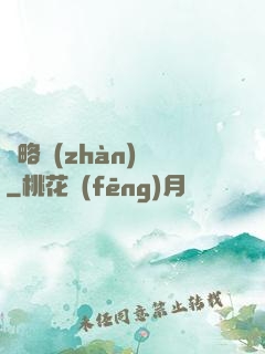 謀略戰(zhàn)國