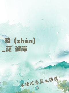 謀略戰(zhàn)國