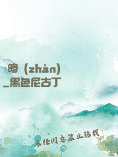謀略戰(zhàn)國