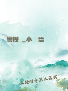 警探長