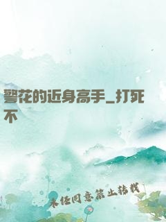 警花的近身高手