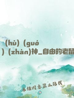 護(hù)國(guó)戰(zhàn)神