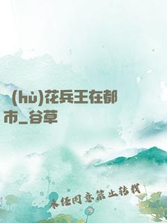 護(hù)花兵王在都市