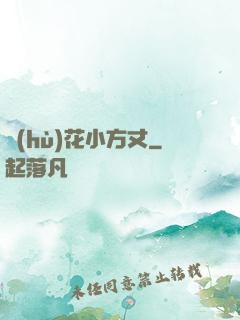 護(hù)花小方丈