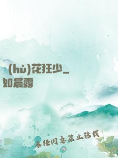 護(hù)花狂少