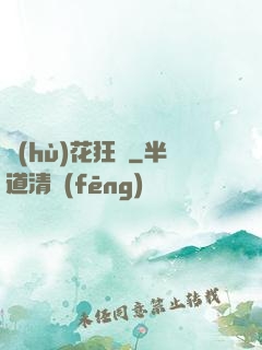 護(hù)花狂龍