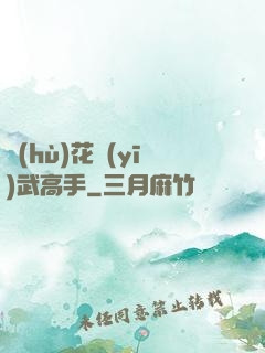 護(hù)花醫(yī)武高手