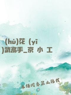 護(hù)花醫(yī)武高手