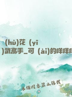 護(hù)花醫(yī)武高手