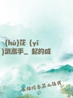 護(hù)花醫(yī)武高手