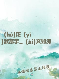 護(hù)花醫(yī)武高手