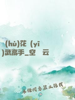 護(hù)花醫(yī)武高手