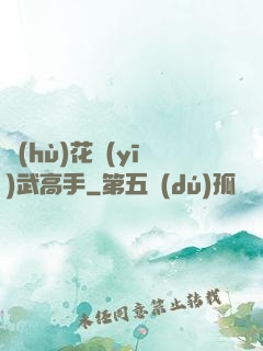 護(hù)花醫(yī)武高手