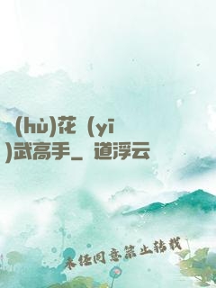 護(hù)花醫(yī)武高手